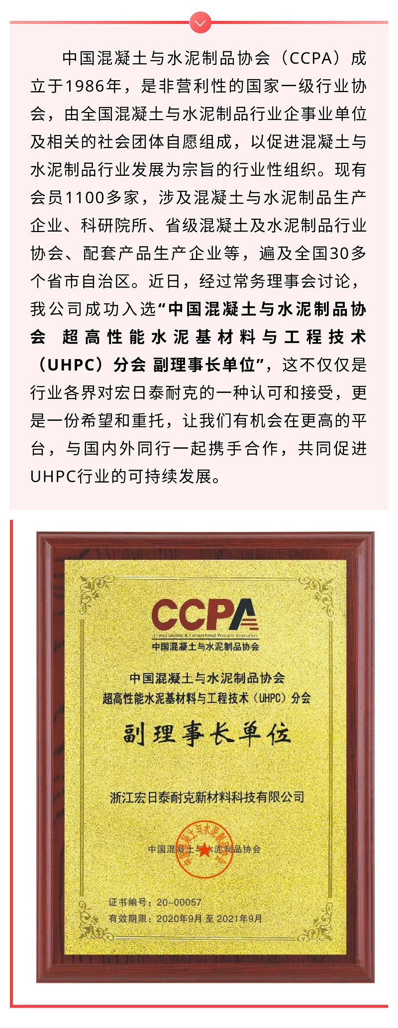 喜報！祝賀我司當選行業(yè)協(xié)會副理事長單位！.jpg